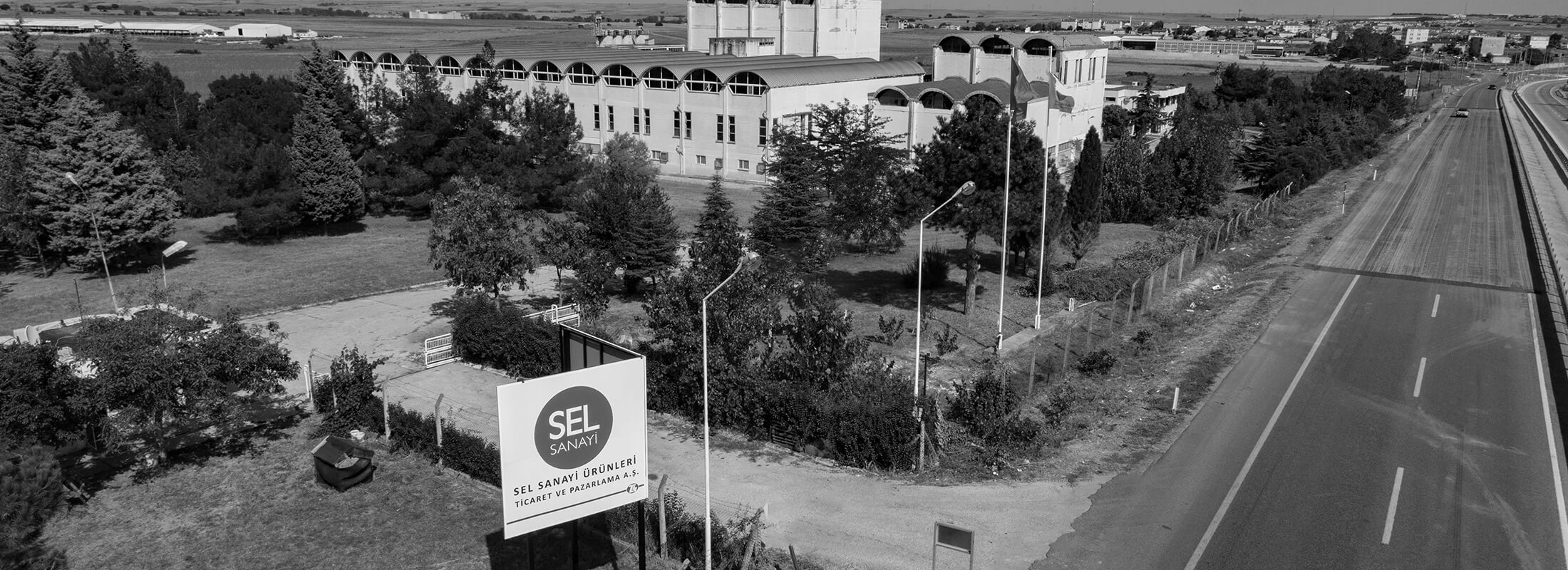 A COLLAGEN PIONEER: COLLASEL